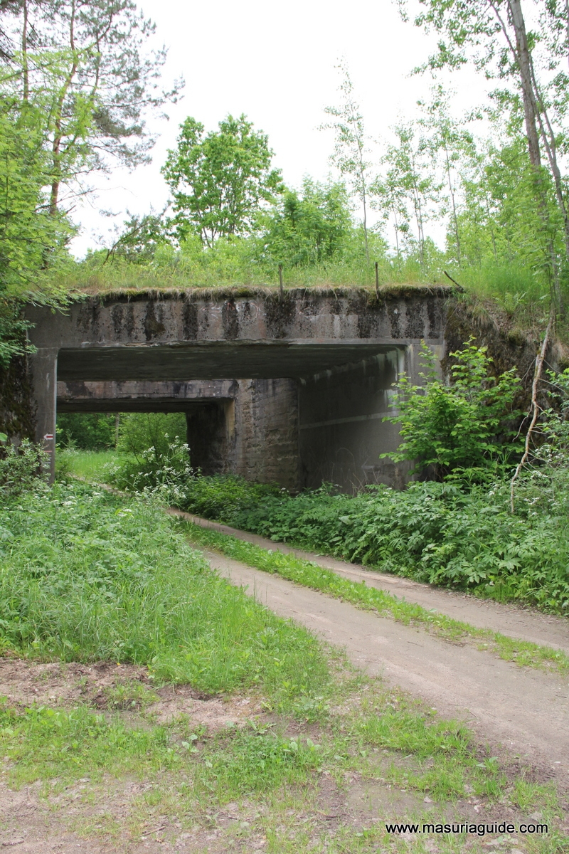 Mosty kolejowe w Botkunach